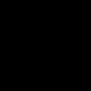 Meet your Posher, Connor